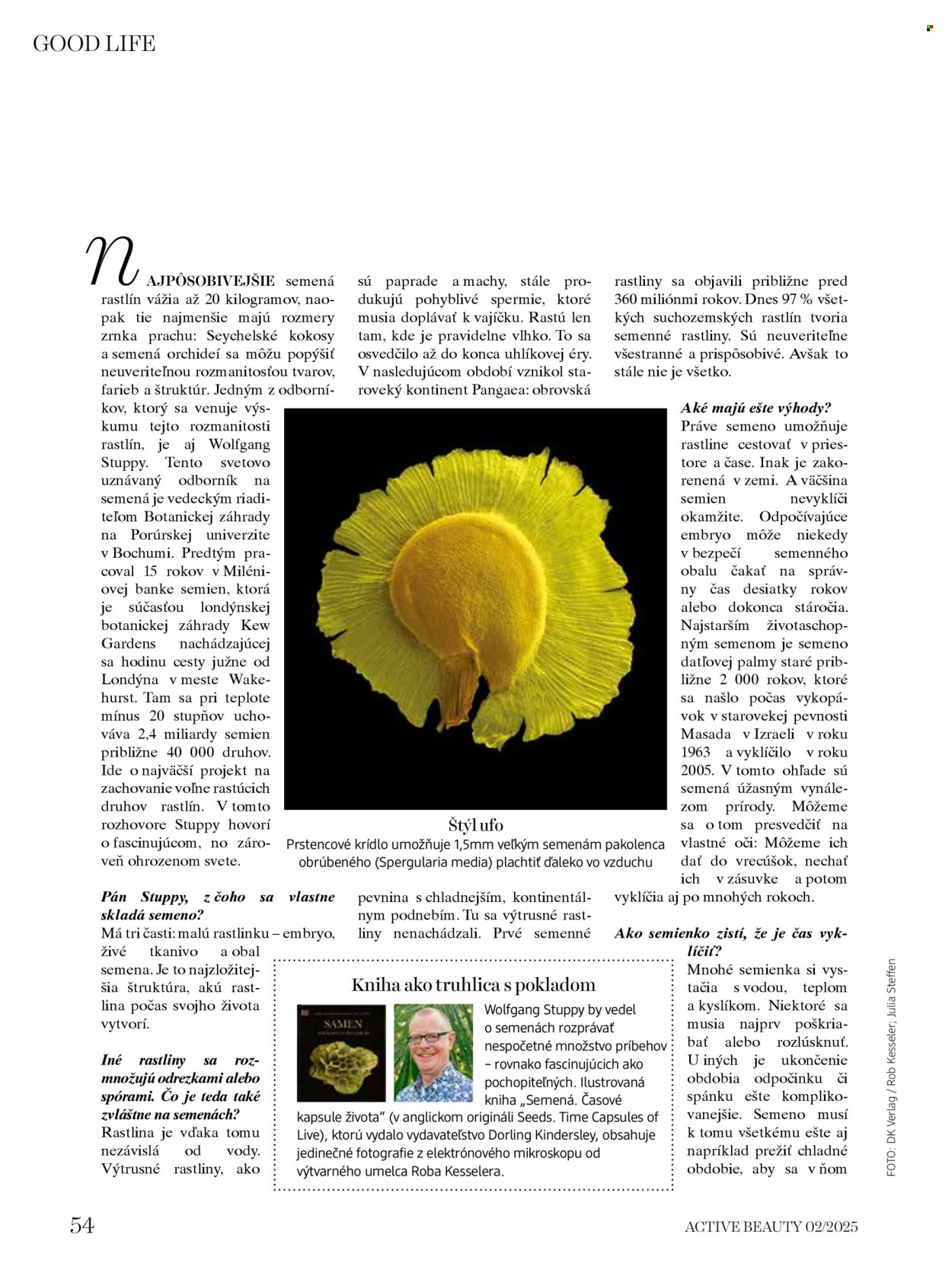 Leták dm drogerie.