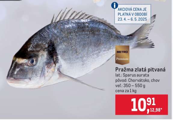 Pražma zlatá pitvaná