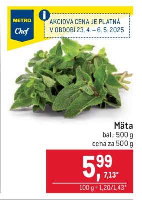 Mäta