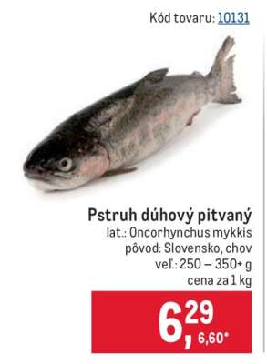 Pstruh dúhový pitvaný
