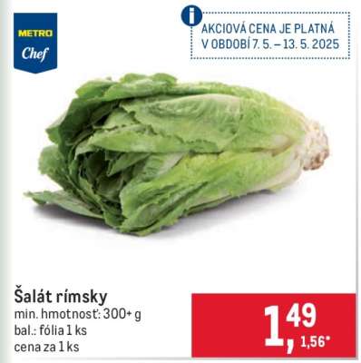 Šalát rímsky