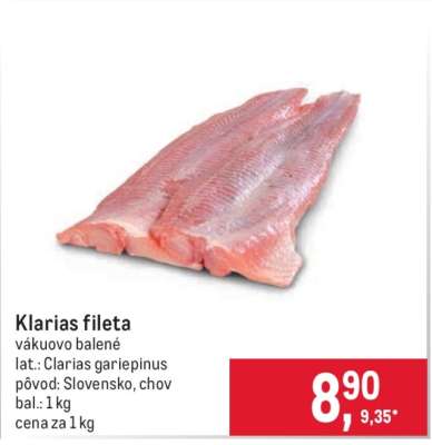 Klarias fileta