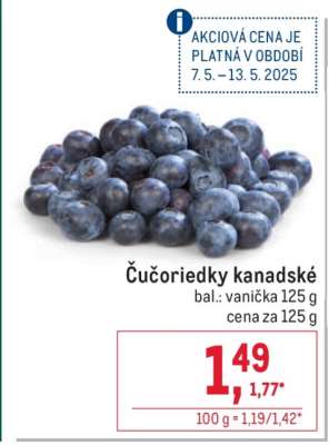 Čučoriedky kanadské