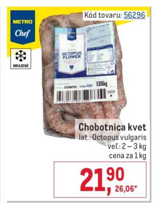 Chobotnica kvet