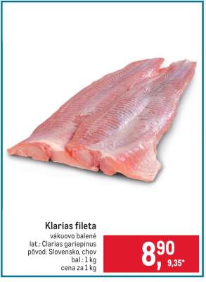 Klarias fileta