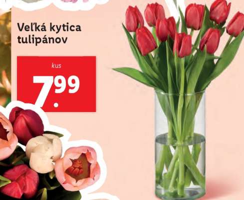 Veľká kytica tulipánov