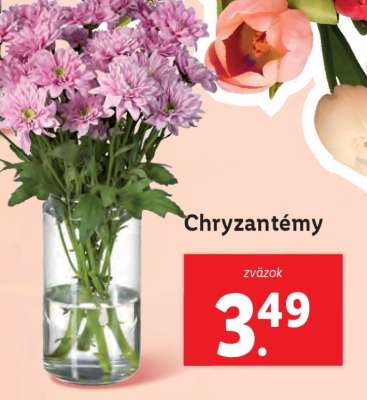 Chryzantémy