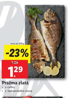 Pražma zlatá