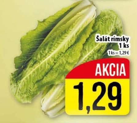 Šalát rímsky