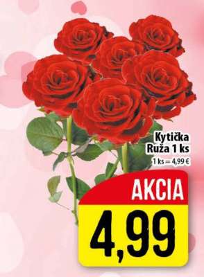 Kyticka Ruža 1 ks