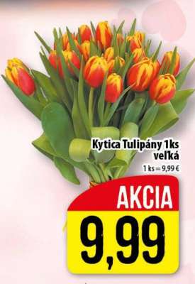 Kytica Tulipány 1ks veľká