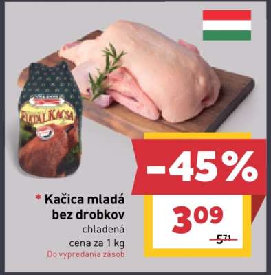 Kačica mladá bez drobkov