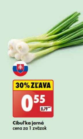 Cibuľka jarná