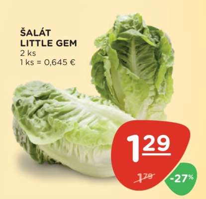 Šalát Little Gem