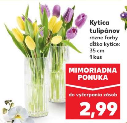 Kytica tulipánov
