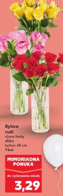 Kytica ruží