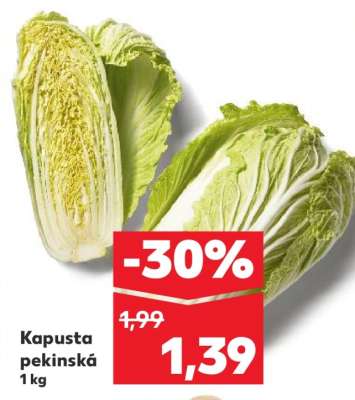 Kapusta pekinská