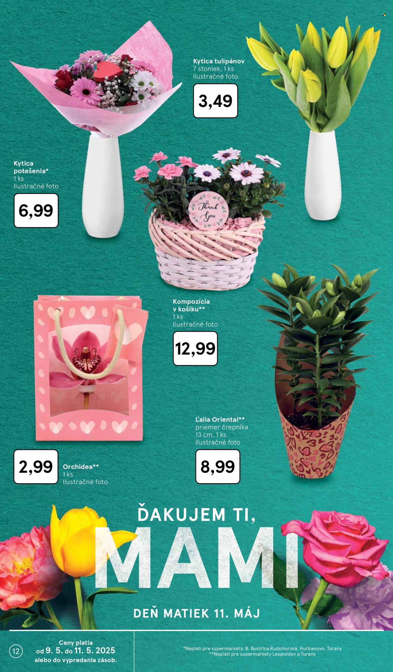 Leták TESCO supermarket - 7.5.2025 - 13.5.2025.