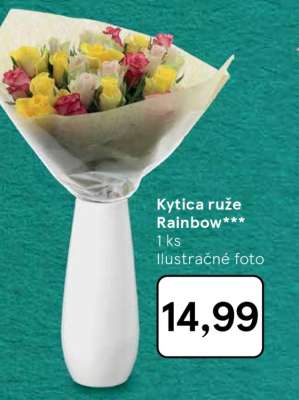 Kytica ruže Rainbow***