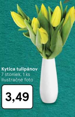 Kytica tulipánov