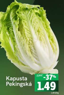 Kapusta Pekingská