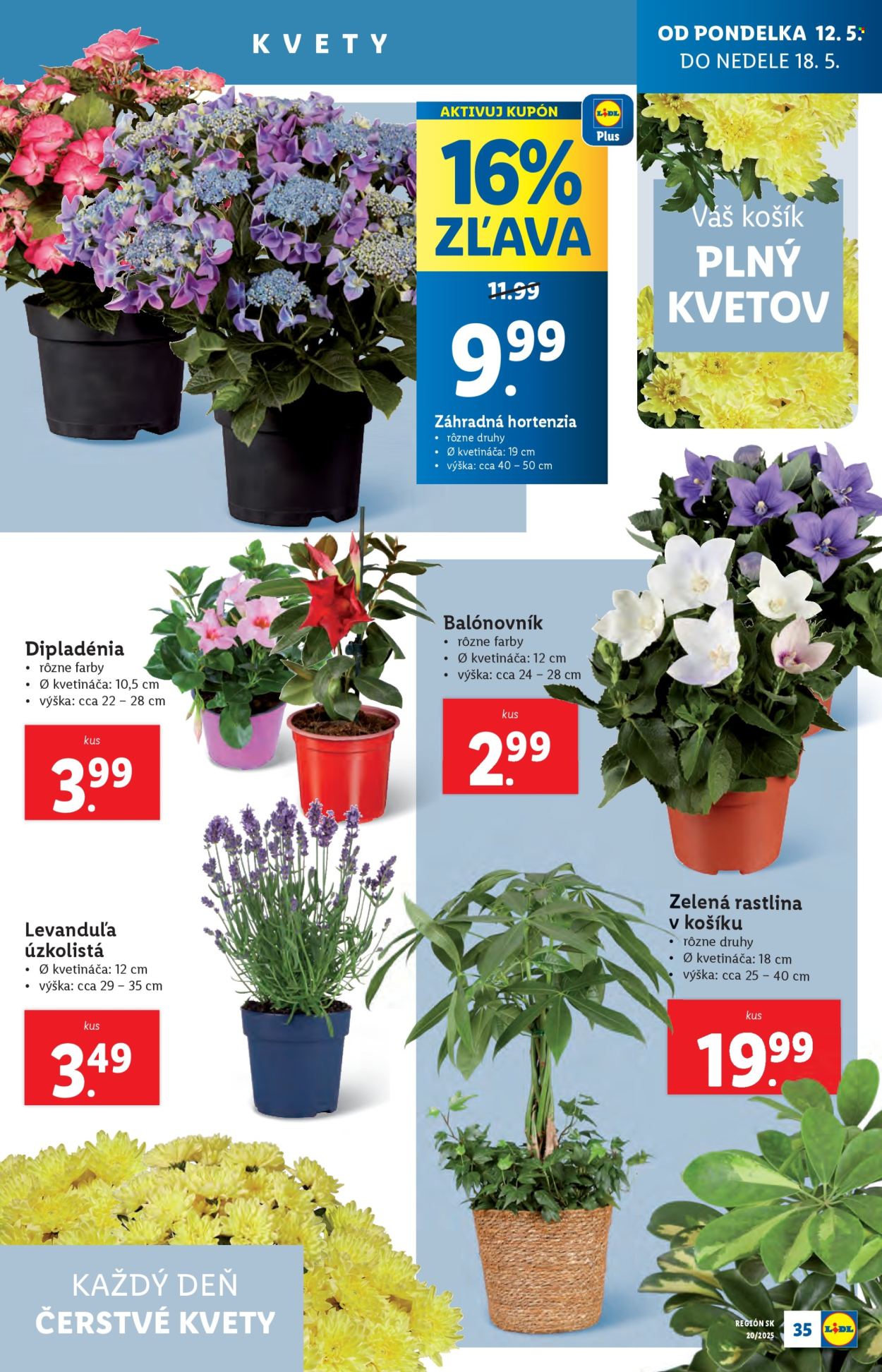 Leták Lidl - 12.5.2025 - 18.5.2025.