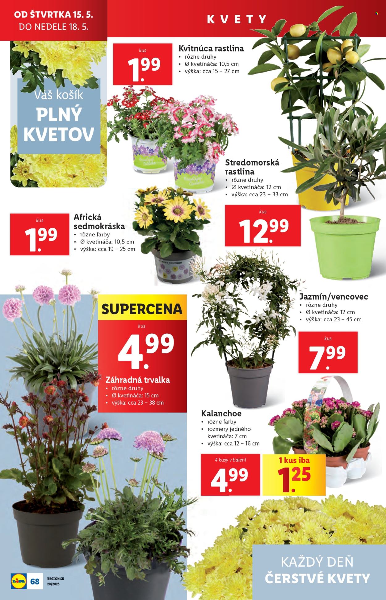 Leták Lidl - 12.5.2025 - 18.5.2025.