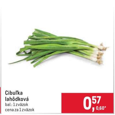 Cibuľka lahôdková