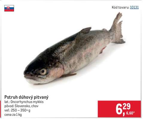 Pstruh dúhový pitvaný