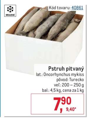 Pstruh pitvaný