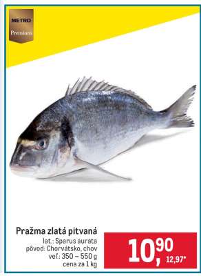 Pražma zlatá pitvaná