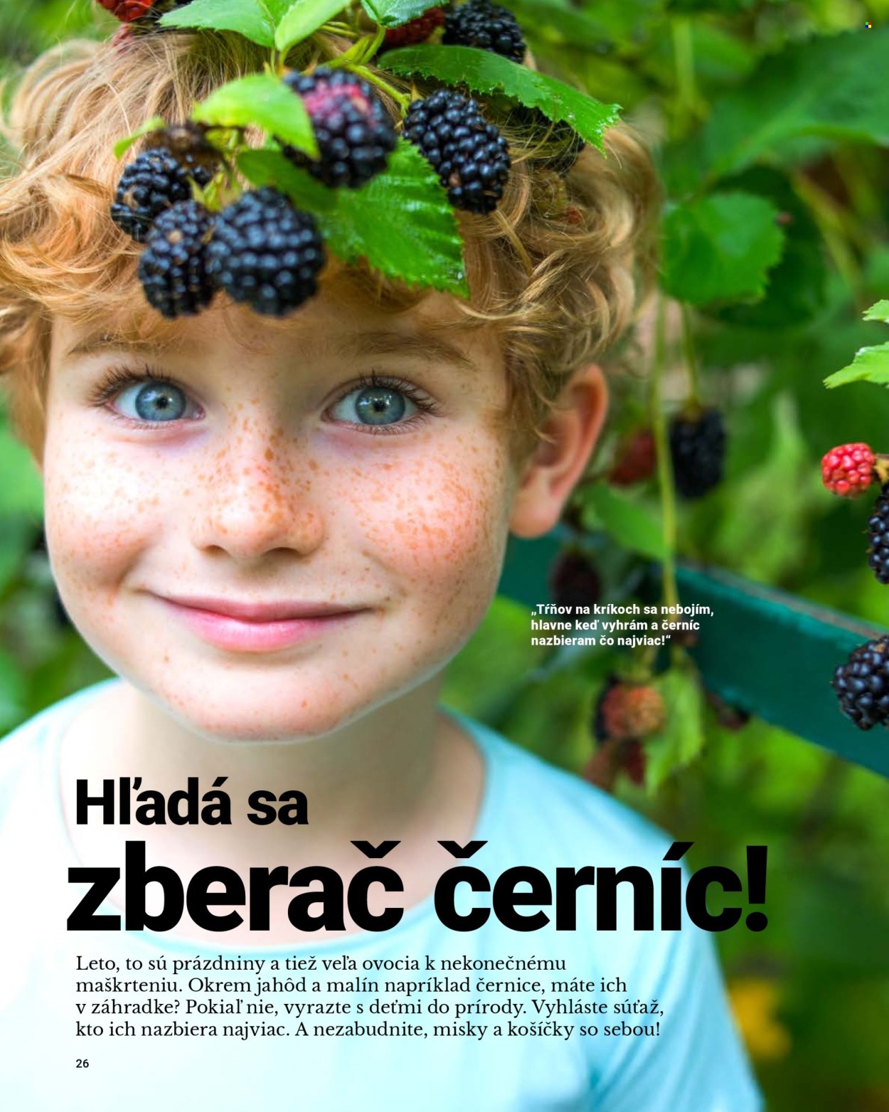 Leták Tescoma. Strana 26