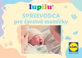 Lidl - Online brožúra