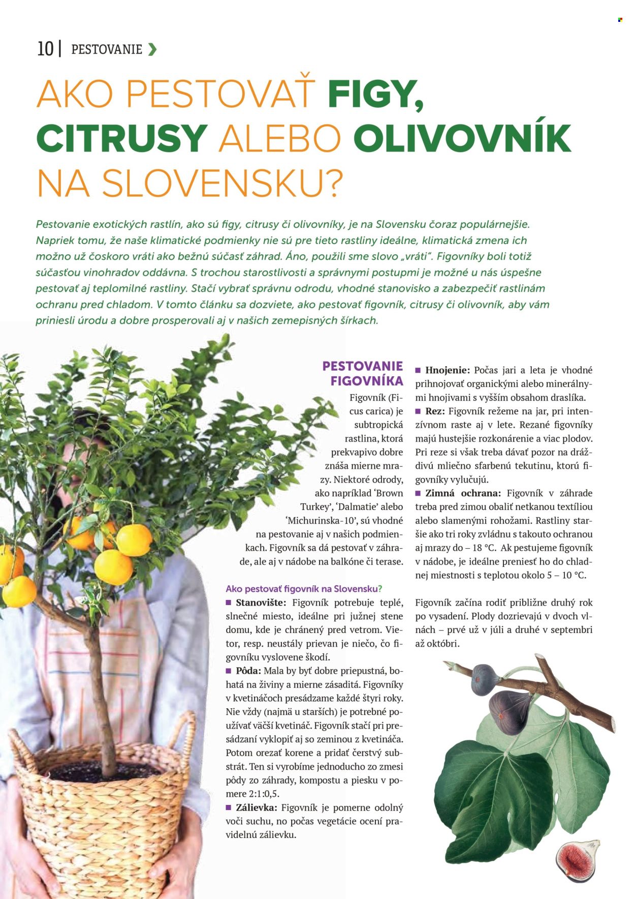 Leták Kinekus. Strana 10