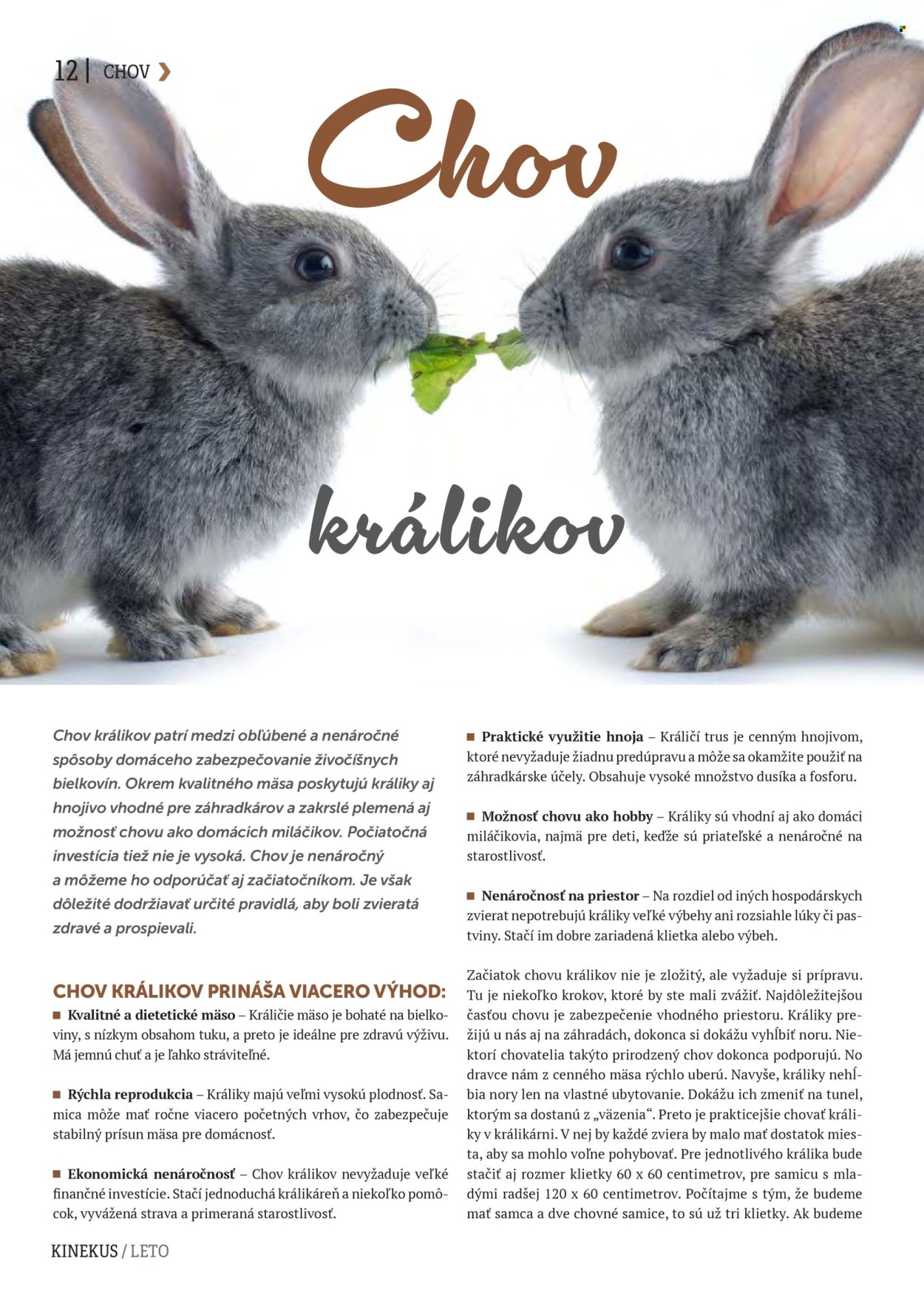Leták Kinekus. Strana 12