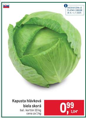 Kapusta hlávková biela skorá