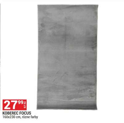 KOBEREC FOCUS