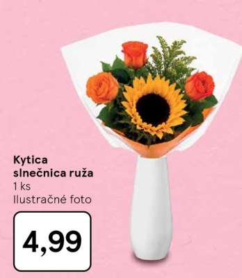 Kytica slnečnica ruža