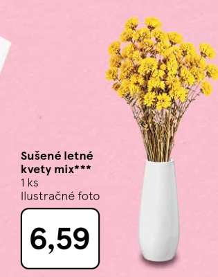 Sušené letné kvety mix***