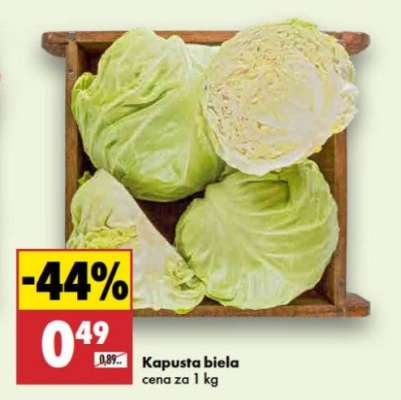 Kapusta biela