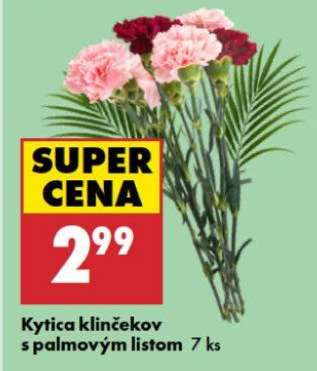 Kytica klinčekov s palmovým listom 7 ks