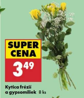 Kytica frézií a gypsomiliek 8 ks