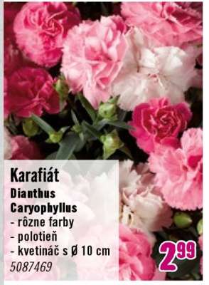 Karafiát