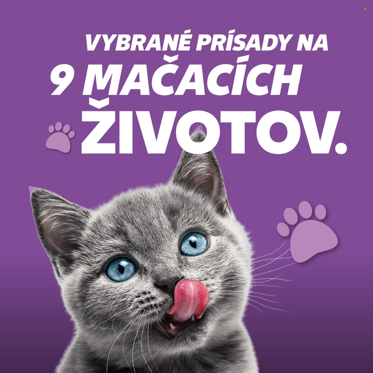 Leták Kaufland. Strana 8