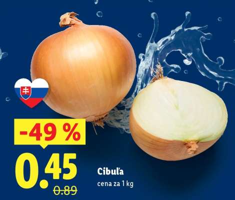 Cibuľa