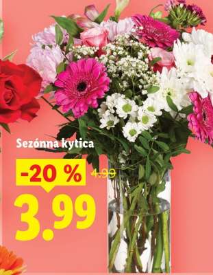 Sezónna kytica