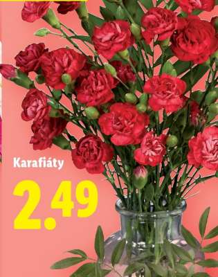 Karafiáty