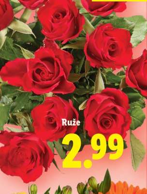 Ruže
