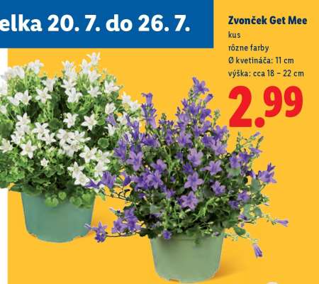 Zvonček Get Mee