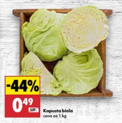 Kapusta biela